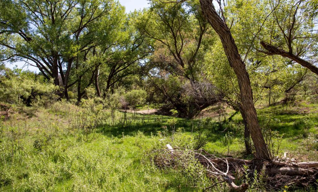 Kelly Creek Ranch North Chas S. Middleton